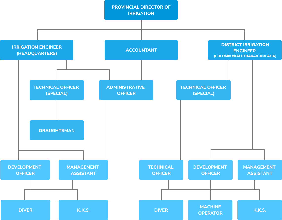 Organization Chart