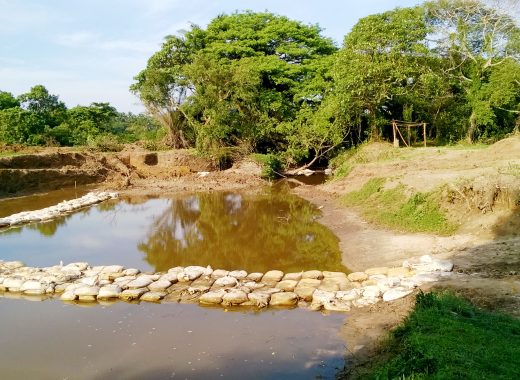 කණේවෙල අමුණ නැවත ඉඳිකිරීමේ ව්‍යාපෘතිය සාර්ථකව ක්‍රියාත්මක වෙමින් පවතී