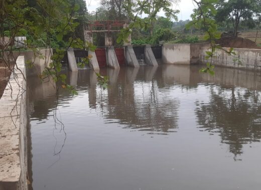 திவுலபிட்டிய தம்மிட்ட அணைக்கட்டு புனரமைப்பு